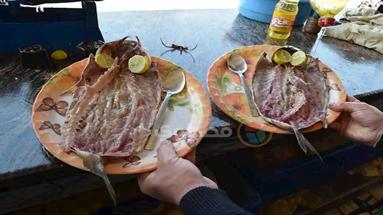 تباين أسعار الرنجة والفسيخ في 4 سلاسل تجارية كبرى قبل شم النسيم